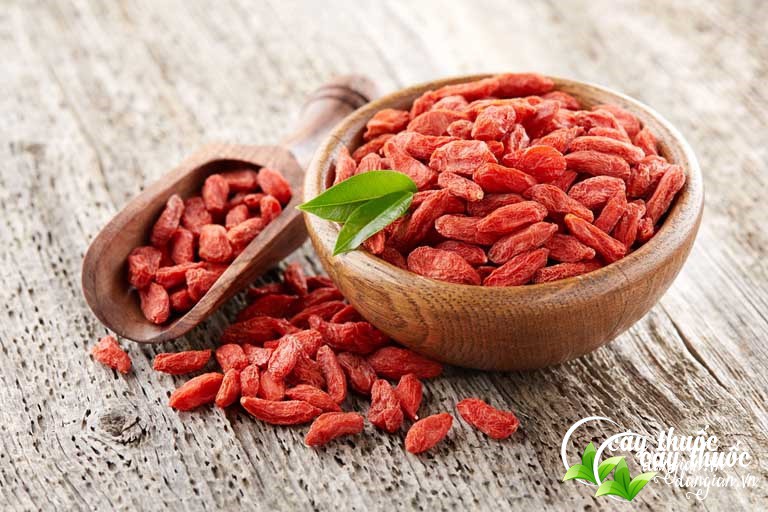 Câu kỷ tử làm thuốc chữa được rất nhiều bệnh