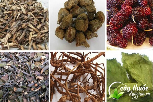 Lưu ý nên tham khảo ý kiến của bác sĩ, thầy thuốc trước khi sử dụng các bài thuốc từ dâu tằm.