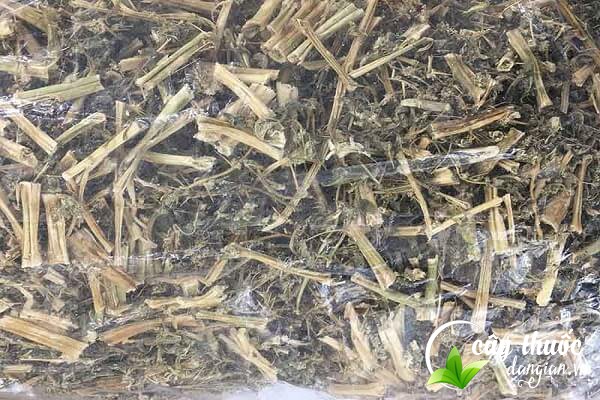 Lưu ý không nên sử dụng nước dền gai đun nhiều lần, đun quá lâu