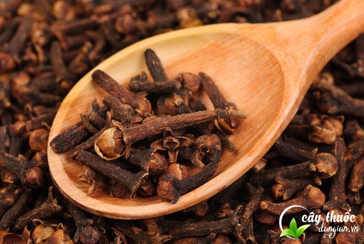 Lưu ý khi dùng nụ đinh hương