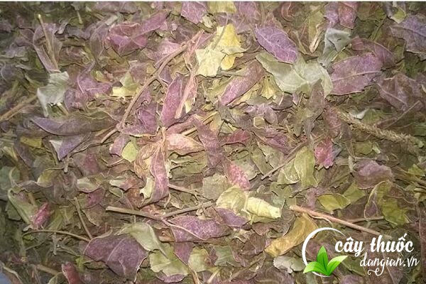 Nên tham khảo ý kiến của bác sĩ để sử dụng đơn đỏ hiệu quả hơn