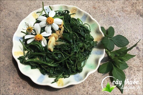 Lưu ý không được tùy tiện sử dụng đơn kim quá liều