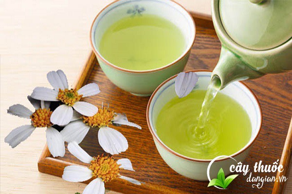 Bài thuốc cây đơn kim sắc thuốc uống chữa viêm gan