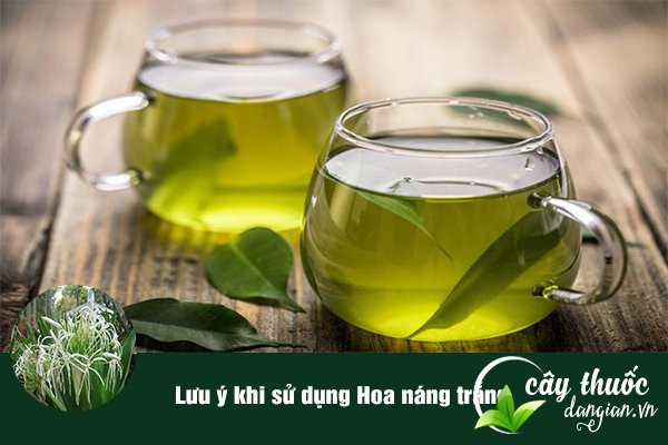 Lưu ý không nên dùng dược liệu quá liều có thể gây ngộ độc.