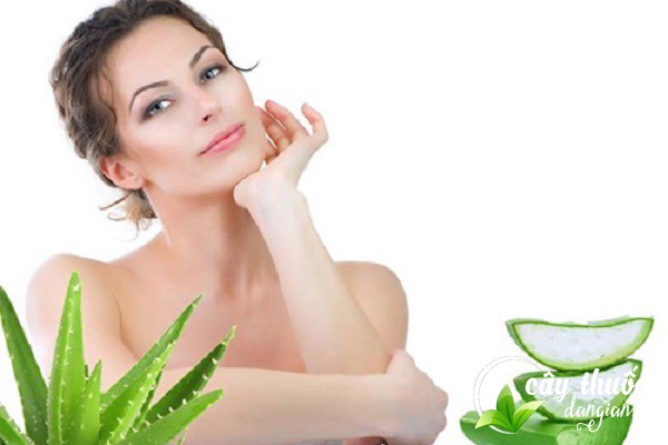 Nha đam giúp trị mụn, nám, cho da trắng sáng, mịn màng