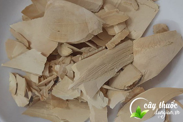 Lưu ý nên hỏi ý kiến bác sĩ trước khi sử dụng các bài thuốc từ cây quýt gai