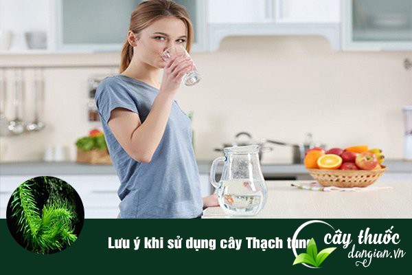 Lưu ý không dùng thạch tùng với liều cao có thể gây độc tố.