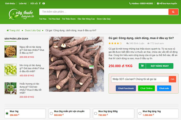 Cây thuốc dân gian địa chỉ mua củ gai uy tín chất lượng