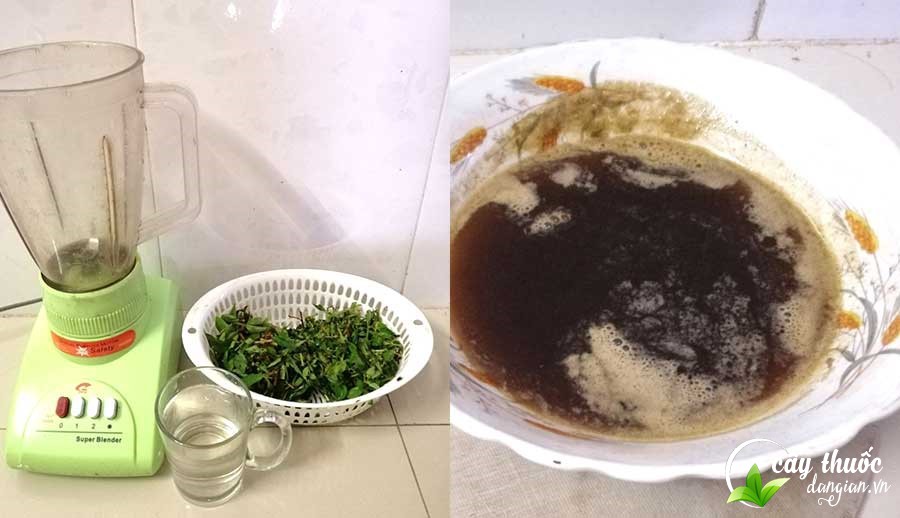 Thuốc điều trị bệnh lao phổi