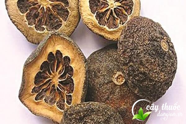 Chỉ xác không dùng cho những người có tỳ và vị hư hàn