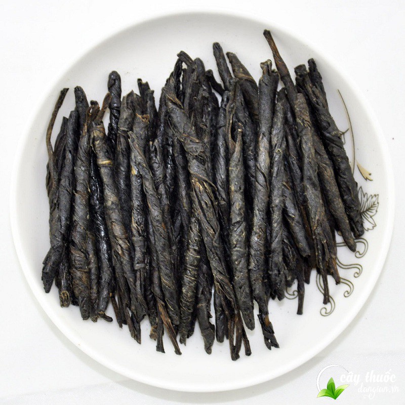 Mua chè đắng ở đâu chất lượng?