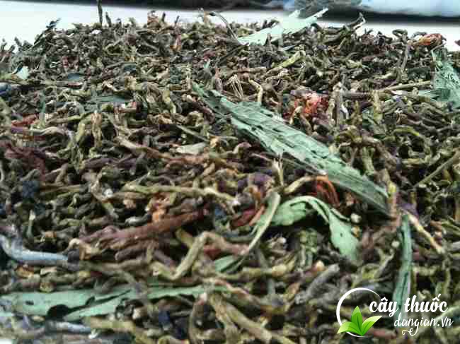 tra-son-mat-hong-sam