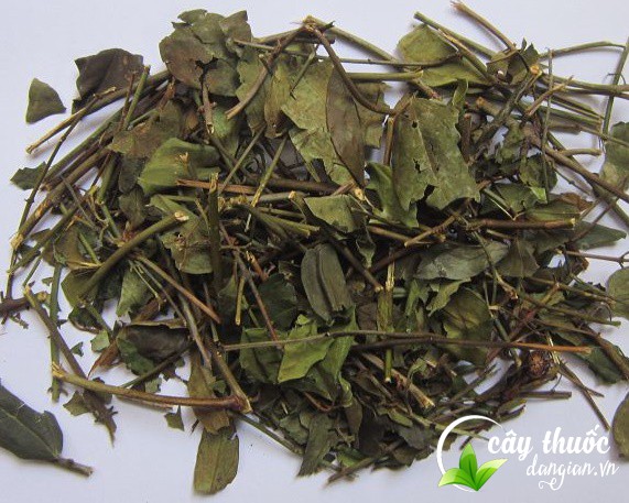 mua-che-vang-o-dau-tot