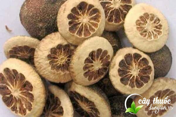 Chỉ thực còn có tên khoa học là Fructus ponciri Immaturi