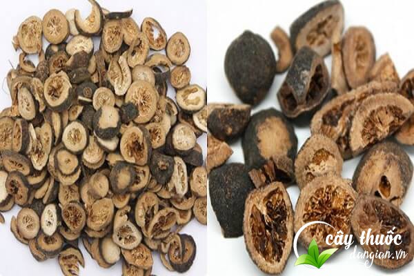 Chỉ thực được dùng làm thuốc điều trị một số bệnh lý