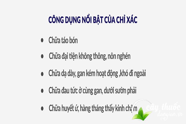 Công dụng chữa bệnh của Chỉ xác