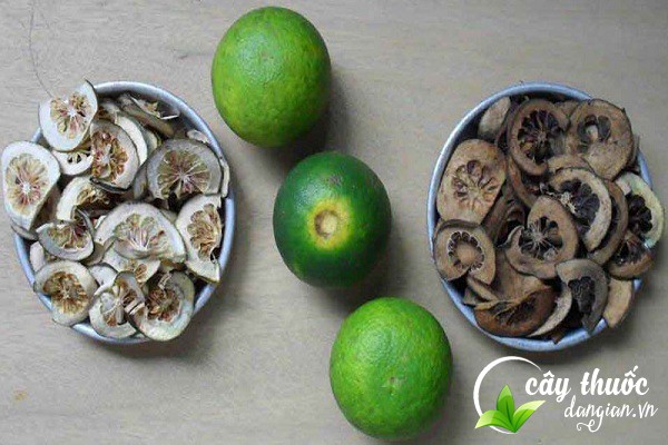 Chỉ xác thường được dùng làm các bài thuốc trị bệnh tiêu hóa, lợi tiểu,...