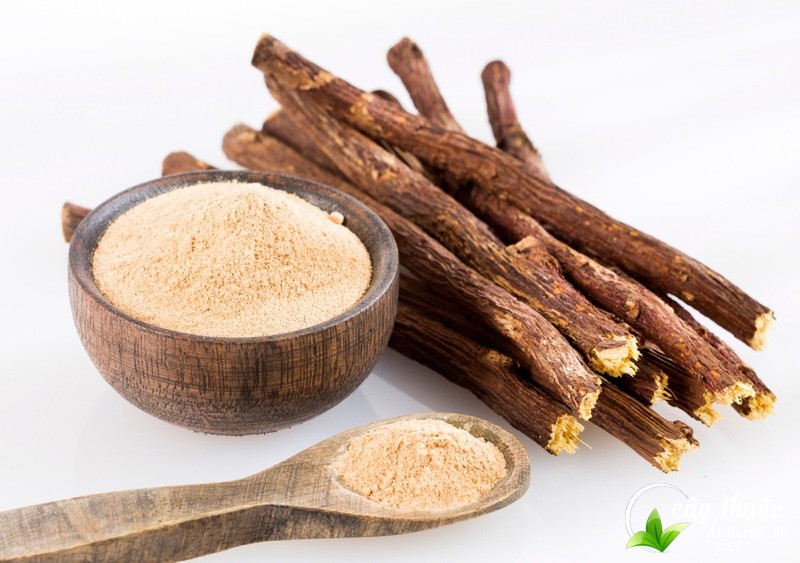 bai-thuoc-tu-cam-thao