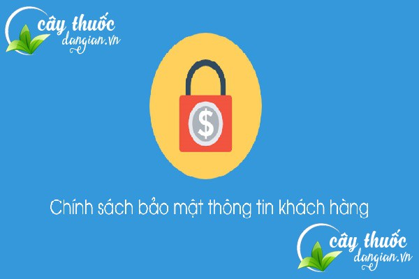 Chính sách bảo mật là vấn đề nhận được nhiều sự quan tâm