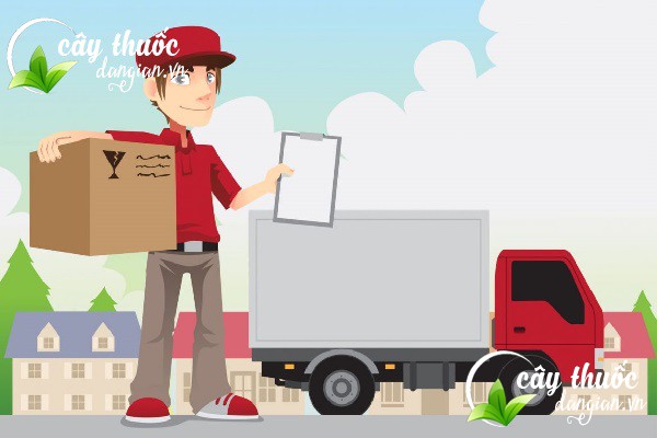 Chính sách giao hàng và vận chuyển