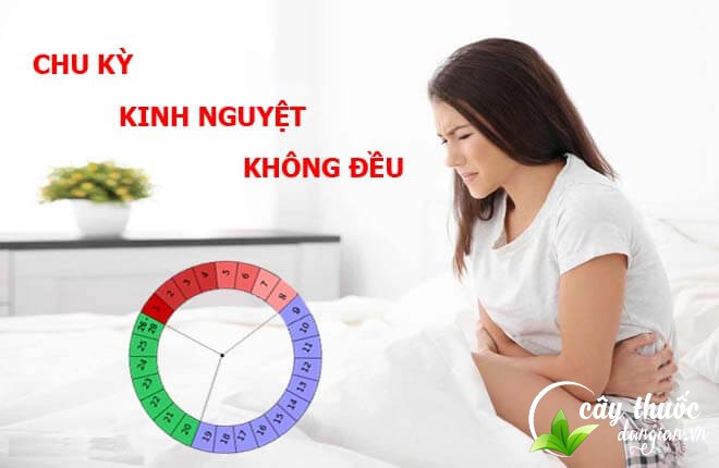 ho-tro-dieu-tri-chung-kinh nguyet-khong-deu