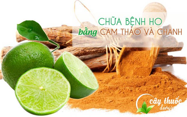 dung-cam-thao-va-chanh-tuoi-tri-ho