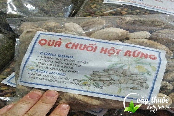 Công dụng của chuối hột rừng với sức khỏe