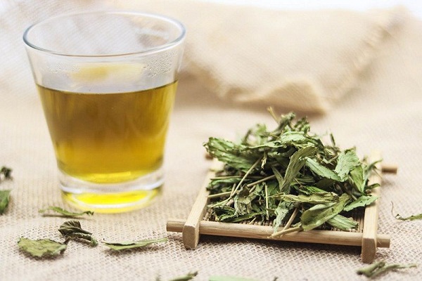 Lưu ý không nên lạm dụng cỏ mật quá nhiều, nên tham khảo ý kiến chuyên gia trước khi dùng