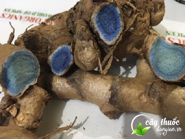 Tác dụng của nghệ đen