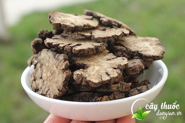 Cây Thuốc Dân Gian - Địa chỉ bán xuyên khung chất lượng