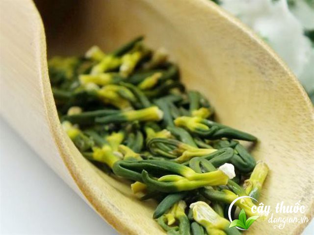 Tác dụng của tâm sen