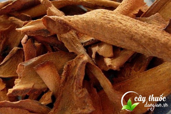 Lưu ý không lạm dụng cốt toái bổ để hạn chế tác dụng phụ không mong muốn