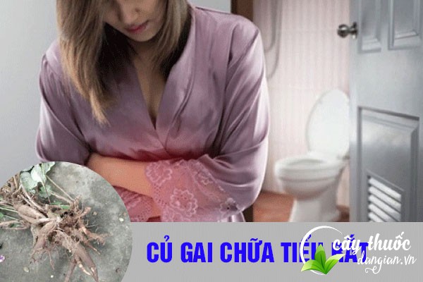 Bài thuốc củ gai chữa tiểu rắt, tiểu ra mủ hiệu quả