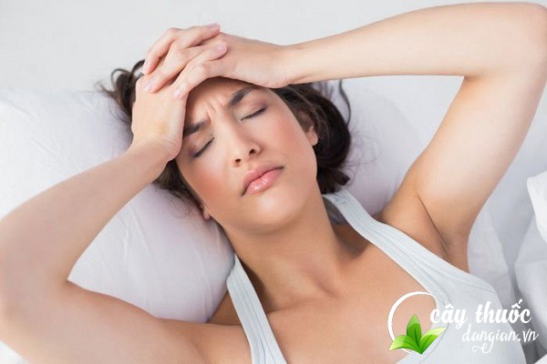 Củ gấu giúp hỗ trợ điều trị kinh nguyệt không đều, đau bụng kinh cho phụ nữ