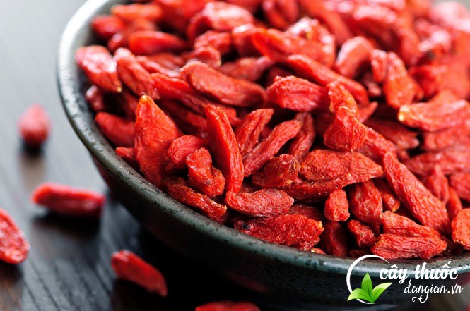 cau-ky-tu-giup-bao-ve-sinh-chuc-nang-gan