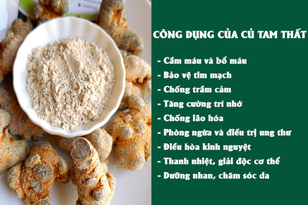 Củ tam thất được biết đến có nhiều tác dụng tốt đối với sức khỏe.