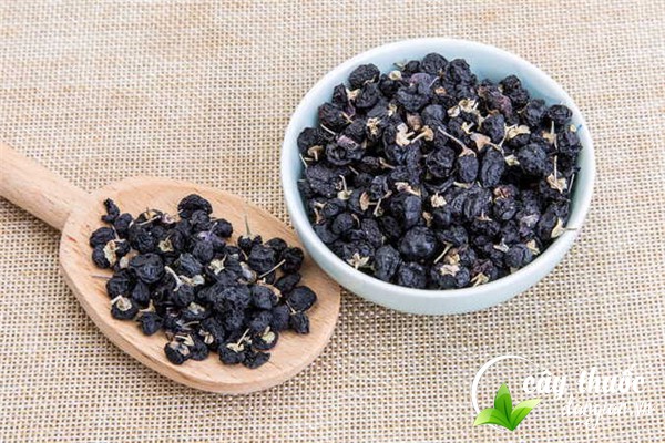 tac-dung-cua-hac-ky-tu