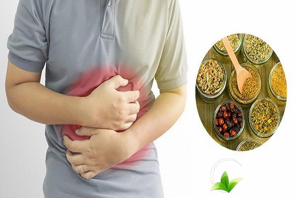 Bài thuốc chữa đau dạ dày từ cây dạ cẩm rất hữu hiệu