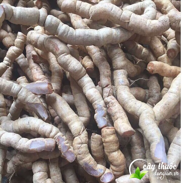 tac-dung-cua-cu-ba-kich-tim