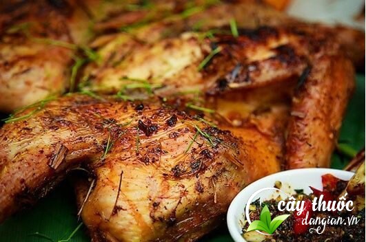 gà nướng hạt dổi