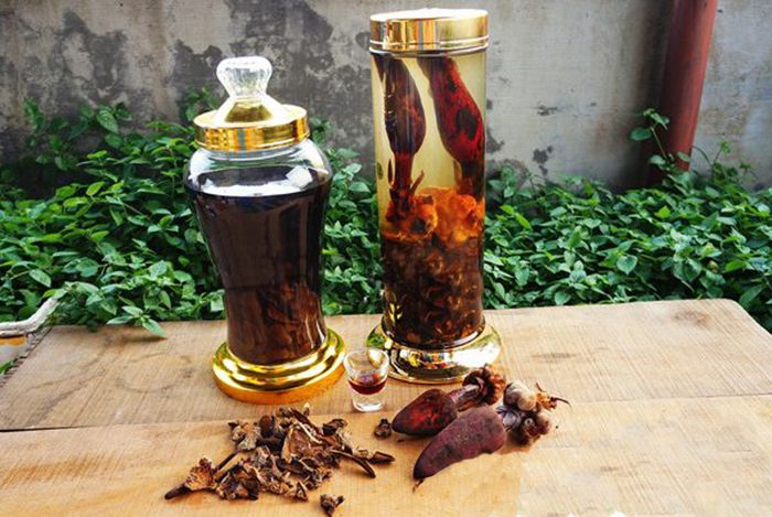 bình ngâm rượu nấm ngọc cẩu