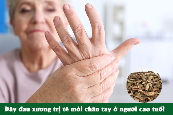 Bài thuốc dây đau xương trị chứng chân tay tê mỏi, đau nhức ở người cao tuổi.