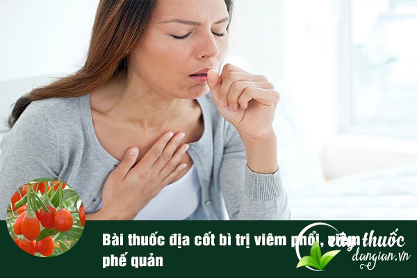 Địa cốt bì thường được sử dụng để làm bài thuốc chữa viêm phổi, viêm phế quản.