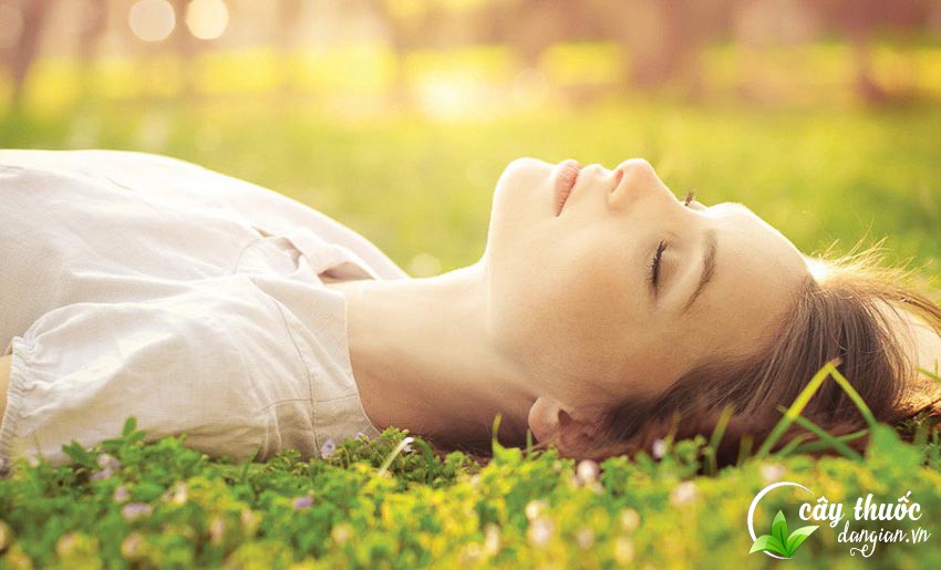 Trà hoa nhài khô rất tốt cho sức khỏe