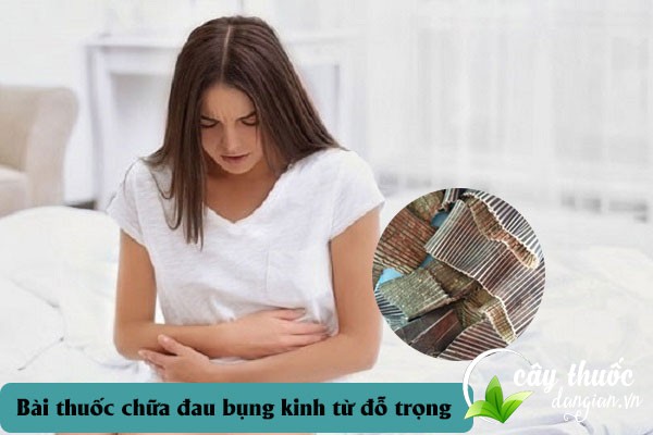 Chị em phụ nữ bị đau bụng kinh có thể sử dụng bài thuốc từ đỗ trọng
