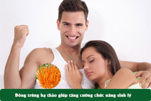 Đông trùng hạ thảo thường được dùng trong các bài thuốc chữa rối loạn chức năng sinh lý cho nam giới.