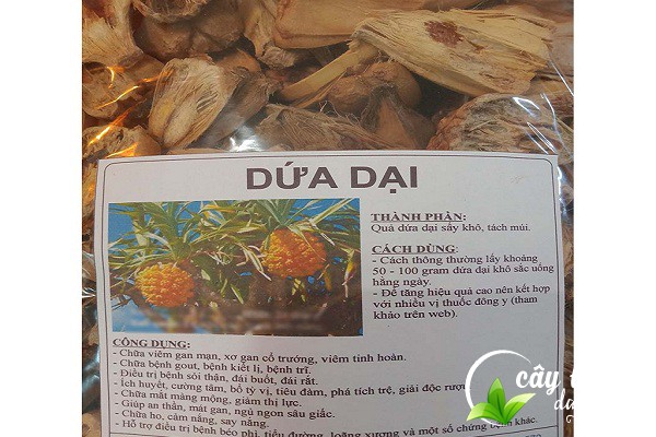 Công dụng của dứa dại được nhiều người biết đến
