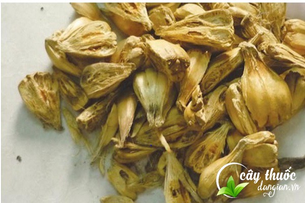 Lưu ý trước khi sử dụng dứa dại chữa bệnh nên tham khảo ý kiến của chuyên gia