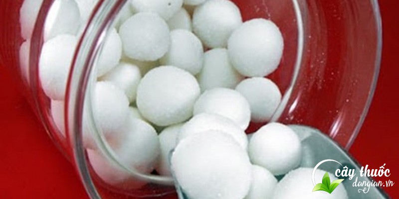 Bài thuốc từ long não