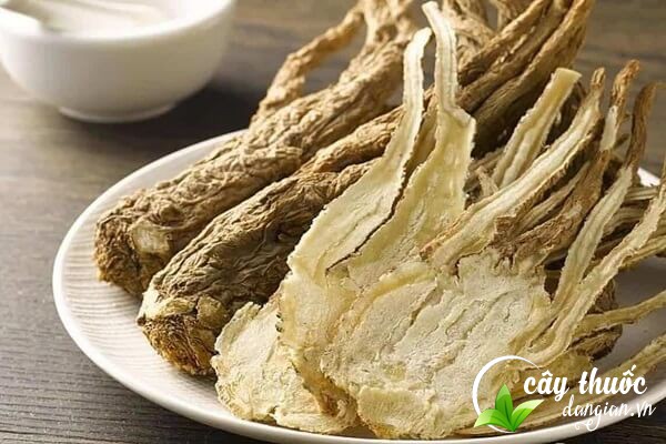 Nên tham khảo ý kiến của bác sĩ, thầy thuốc trước khi sử dụng bài thuốc từ Đương quy để được tư vấn tốt nhất.